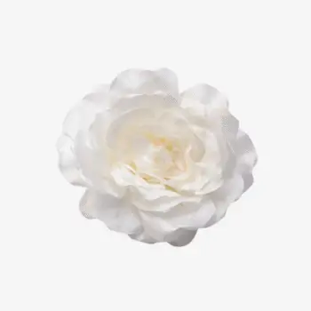 Roosje Luna - Ivoorkleurige bloem