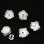 iets te Vieren (75)