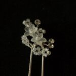 Iets_te_vieren_054