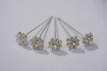 Bergen Snowlight Haarpinnen - set van 5 stuks