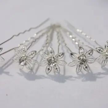 Lucía Petal Zilverkleurige Haarpinnen - Set van 5