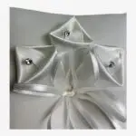 Iets_te_vieren_ringkussen_012