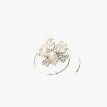 Crystal Bay Twist Curlie - set van 5