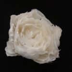 iets te vieren hart (1)