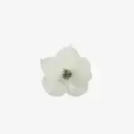 Haardrukkers Ivory Blossom – Set van 5