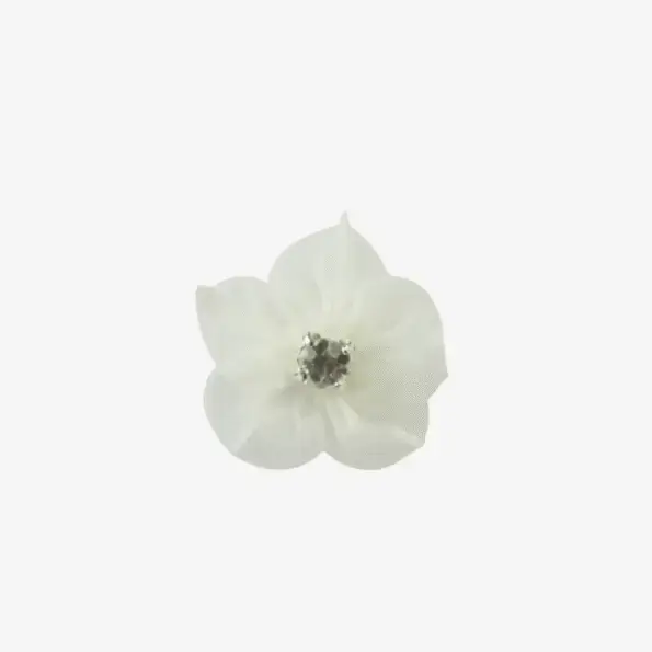 iets te Vieren 75