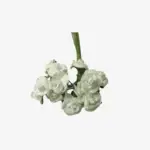Lucca Paperblooms 1 cm – bosje van 12 papieren roosjes (wit)