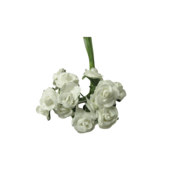 Lucca Paperblooms 1 cm – bosje van 12 papieren roosjes (wit)