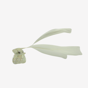 Ivory Feather Mini Clips - per 2stuks