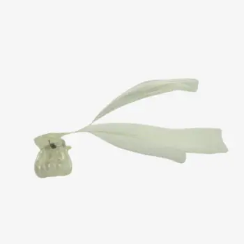 Ivory Feather Mini Clips - per 2stuks