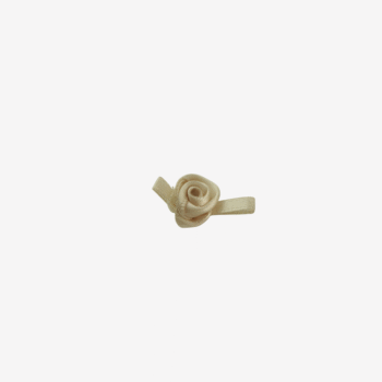 Nagano Satinrose 1 x 2,5 cm – champagne
