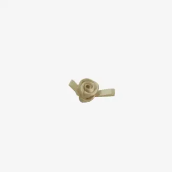 Nagano Satinrose 1 x 2,5 cm – champagne