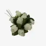 iets te vieren Roosjes (1)