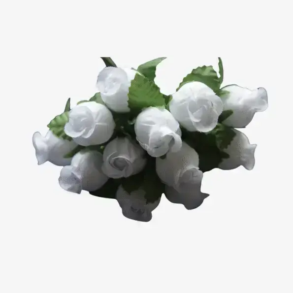 iets te vieren Roosjes 2