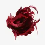 Rode Veerbloem met Speld