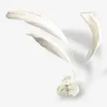 Ivory Feather Mini Clips - per 2stuks