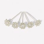 Bergen Snowlight Haarpinnen - set van 5 stuks