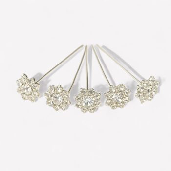 Bergen Snowlight Haarpinnen - set van 5 stuks