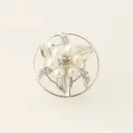 Curlie Lily of Florence - 1 stuk