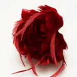 Rode Veerbloem met Speld
