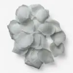 Rozenblaadjes wit (144st)