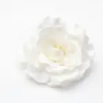 Roosje Luna - Ivoorkleurige bloem