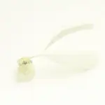 Ivory Feather Mini Clips - per 2stuks