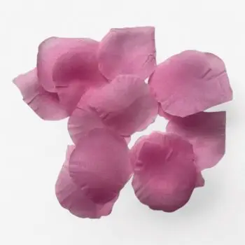 Roze rozenblaadjes – 144 stuks